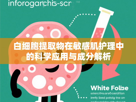 白细胞提取物在敏感肌护理中的科学应用与成分解析