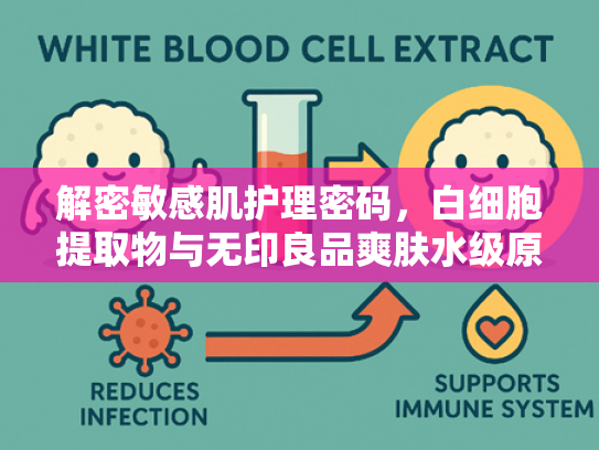 解密敏感肌护理密码，白细胞提取物与无印良品爽肤水级原料的融合之道