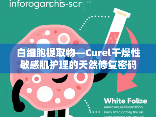 白细胞提取物—Curel干燥性敏感肌护理的天然修复密码