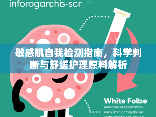 敏感肌自我检测指南，科学判断与舒缓护理原料解析