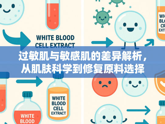 过敏肌与敏感肌的差异解析，从肌肤科学到修复原料选择