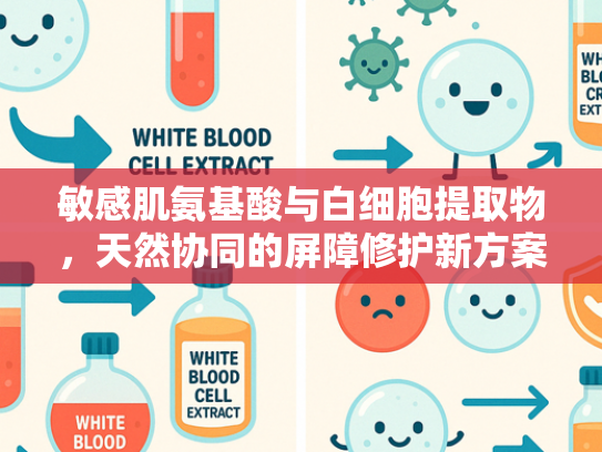 敏感肌氨基酸与白细胞提取物，天然协同的屏障修护新方案