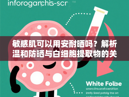 敏感肌可以用安耐晒吗？解析温和防晒与白细胞提取物的关联