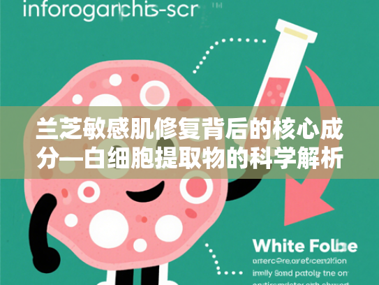 兰芝敏感肌修复背后的核心成分—白细胞提取物的科学解析与原料应用