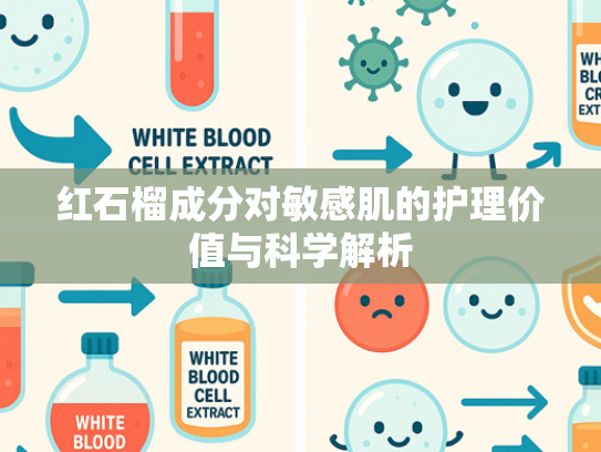 红石榴成分对敏感肌的护理价值与科学解析