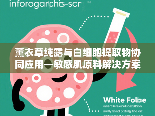 薰衣草纯露与白细胞提取物协同应用—敏感肌原料解决方案新突破