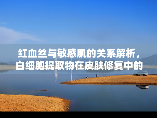 红血丝与敏感肌的关系解析，白细胞提取物在皮肤修复中的应用