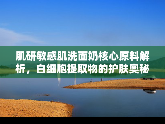 肌研敏感肌洗面奶核心原料解析，白细胞提取物的护肤奥秘与批发优势