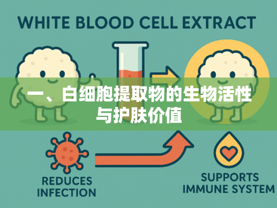 一、白细胞提取物的生物活性与护肤价值