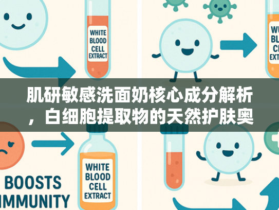 肌研敏感洗面奶核心成分解析，白细胞提取物的天然护肤奥秘