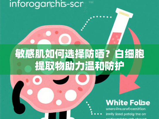 敏感肌如何选择防晒？白细胞提取物助力温和防护