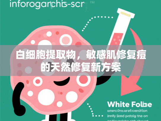 白细胞提取物，敏感肌修复痘的天然修复新方案
