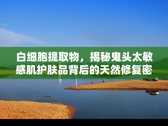 白细胞提取物，揭秘鬼头太敏感肌护肤品背后的天然修复密码