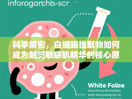科学解密，白细胞提取物如何成为触觉敏感肌精华的核心原料