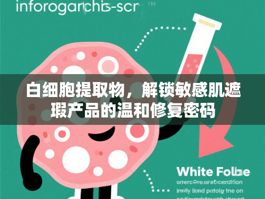 白细胞提取物，解锁敏感肌遮瑕产品的温和修复密码