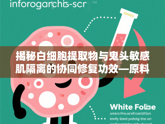揭秘白细胞提取物与鬼头敏感肌隔离的协同修复功效—原料批发与应用指南