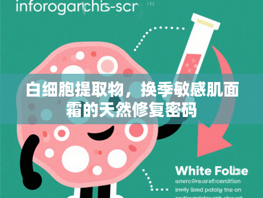 白细胞提取物，换季敏感肌面霜的天然修复密码