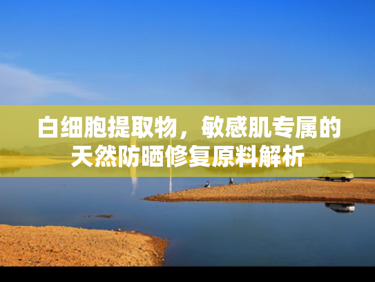 白细胞提取物，敏感肌专属的天然防晒修复原料解析