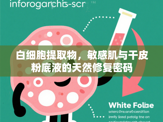 白细胞提取物，敏感肌与干皮粉底液的天然修复密码