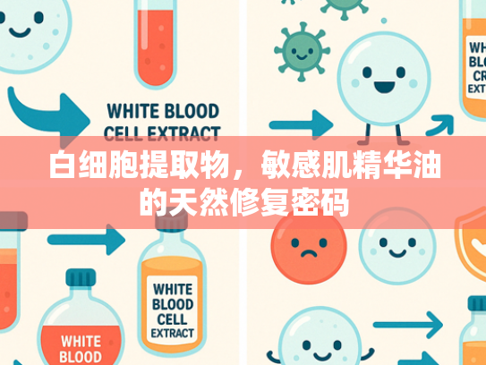 白细胞提取物，敏感肌精华油的天然修复密码