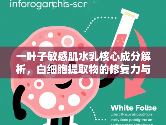 一叶子敏感肌水乳核心成分解析，白细胞提取物的修复力与原料优势