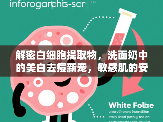 解密白细胞提取物，洗面奶中的美白去痘新宠，敏感肌的安心之选