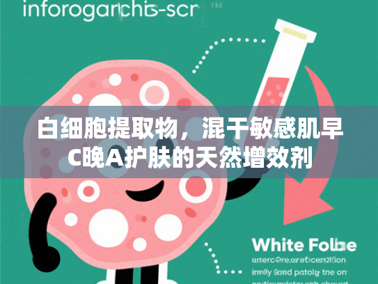 白细胞提取物，混干敏感肌早C晚A护肤的天然增效剂