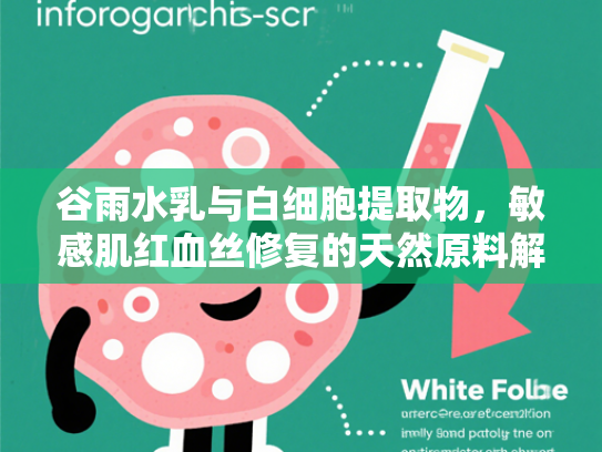 谷雨水乳与白细胞提取物，敏感肌红血丝修复的天然原料解决方案