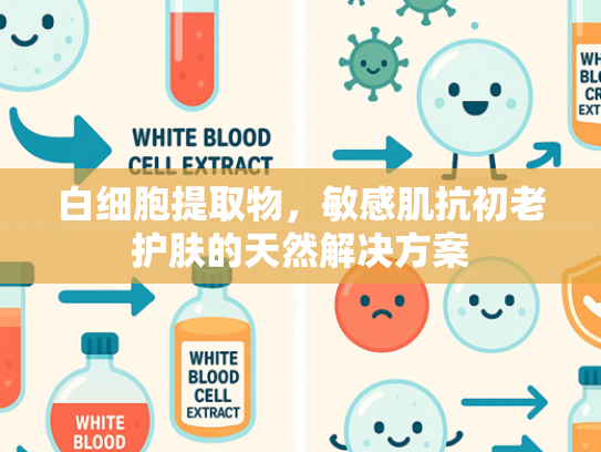 白细胞提取物，敏感肌抗初老护肤的天然解决方案