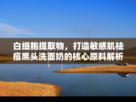 白细胞提取物，打造敏感肌祛痘黑头洗面奶的核心原料解析