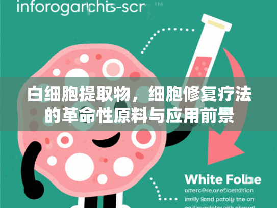 白细胞提取物，细胞修复疗法的革命性原料与应用前景