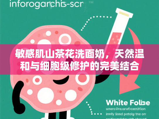 敏感肌山茶花洗面奶，天然温和与细胞级修护的完美结合