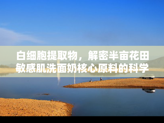白细胞提取物，解密半亩花田敏感肌洗面奶核心原料的科学价值与应用优势