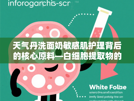 天气丹洗面奶敏感肌护理背后的核心原料—白细胞提取物的科学解析与批发优势