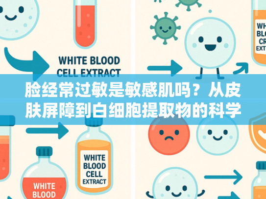 脸经常过敏是敏感肌吗？从皮肤屏障到白细胞提取物的科学解读