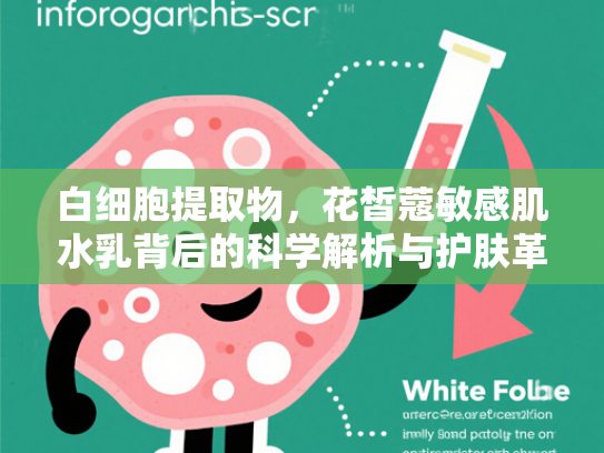 白细胞提取物，花皙蔻敏感肌水乳背后的科学解析与护肤革命