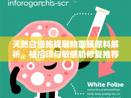 天然白细胞提取物面膜原料解析，祛痘印与敏感肌修复推荐指南