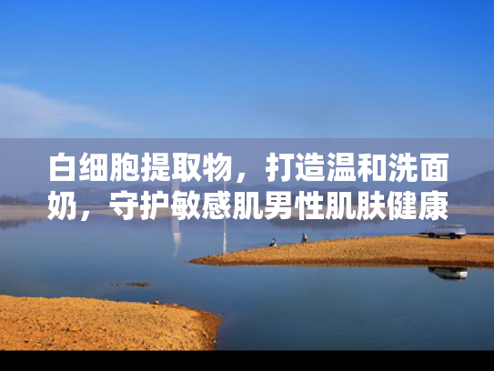 白细胞提取物，打造温和洗面奶，守护敏感肌男性肌肤健康