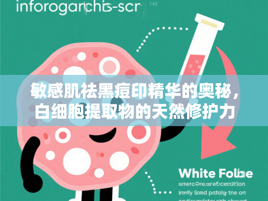 敏感肌祛黑痘印精华的奥秘，白细胞提取物的天然修护力