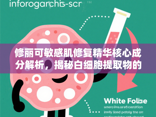 修丽可敏感肌修复精华核心成分解析，揭秘白细胞提取物的科学力量