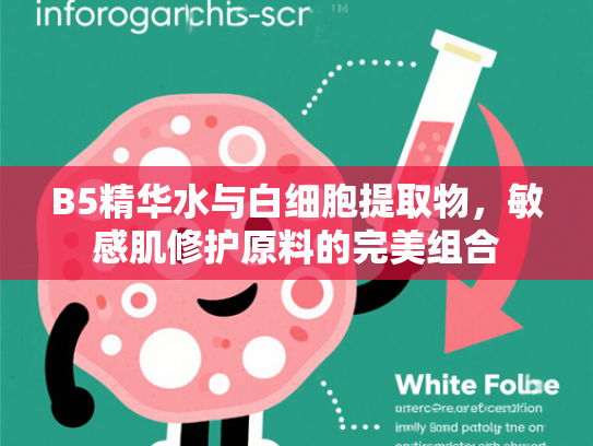 B5精华水与白细胞提取物，敏感肌修护原料的完美组合