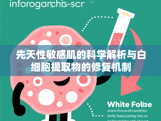 先天性敏感肌的科学解析与白细胞提取物的修复机制