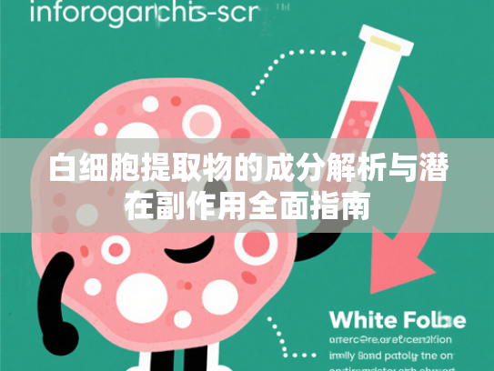白细胞提取物的成分解析与潜在副作用全面指南