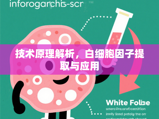 技术原理解析，白细胞因子提取与应用