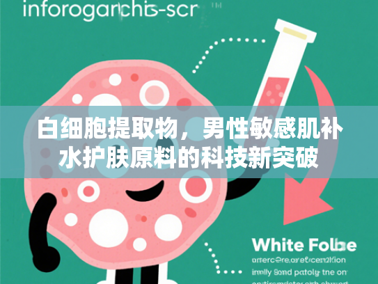 白细胞提取物，男性敏感肌补水护肤原料的科技新突破