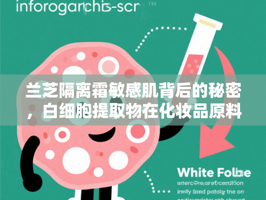 兰芝隔离霜敏感肌背后的秘密，白细胞提取物在化妆品原料中的创新应用
