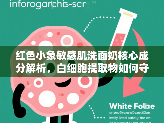 红色小象敏感肌洗面奶核心成分解析，白细胞提取物如何守护脆弱肌底