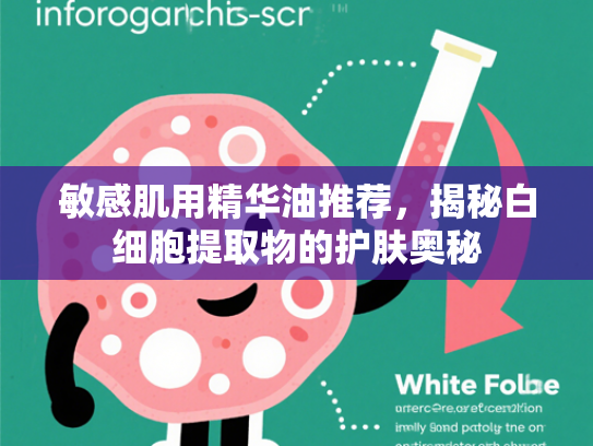 敏感肌用精华油推荐，揭秘白细胞提取物的护肤奥秘