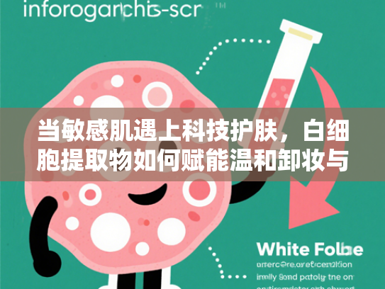 当敏感肌遇上科技护肤，白细胞提取物如何赋能温和卸妆与清洁革命