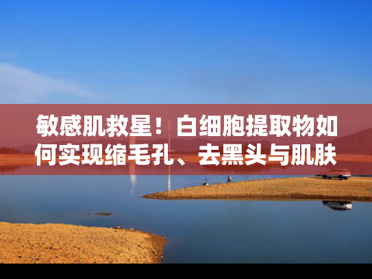 敏感肌救星！白细胞提取物如何实现缩毛孔、去黑头与肌肤修复